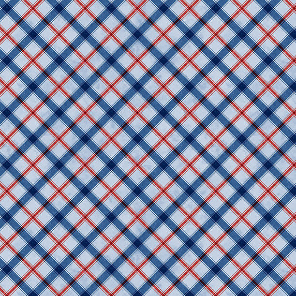 Founding Glory - Plaid Blue 49364-443 | Wilmington Prints