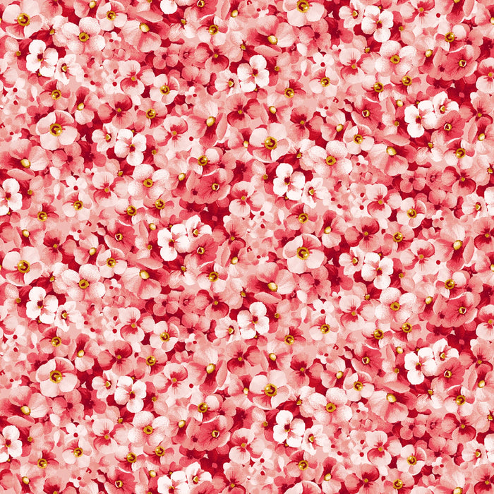 Windflower - Packed Flower Pink
