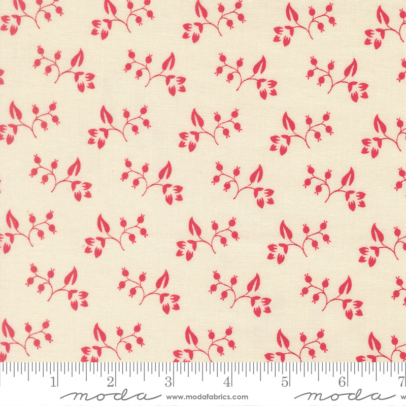 Petals and Polka Dots - Lace 3085-11 | Moda Fabrics