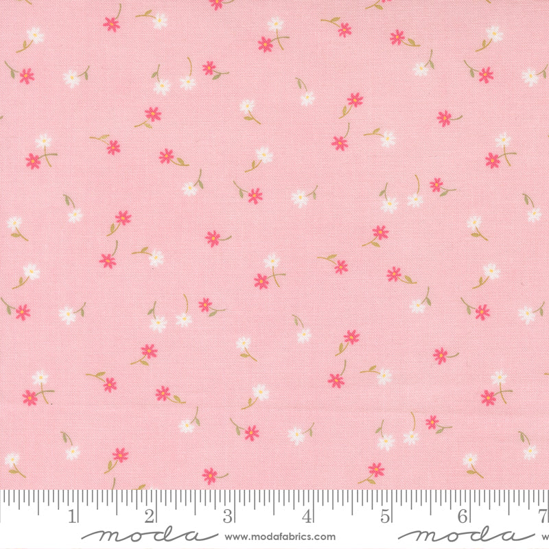 Kindness - Pink Glass | Deb Strain for Moda Fabrics