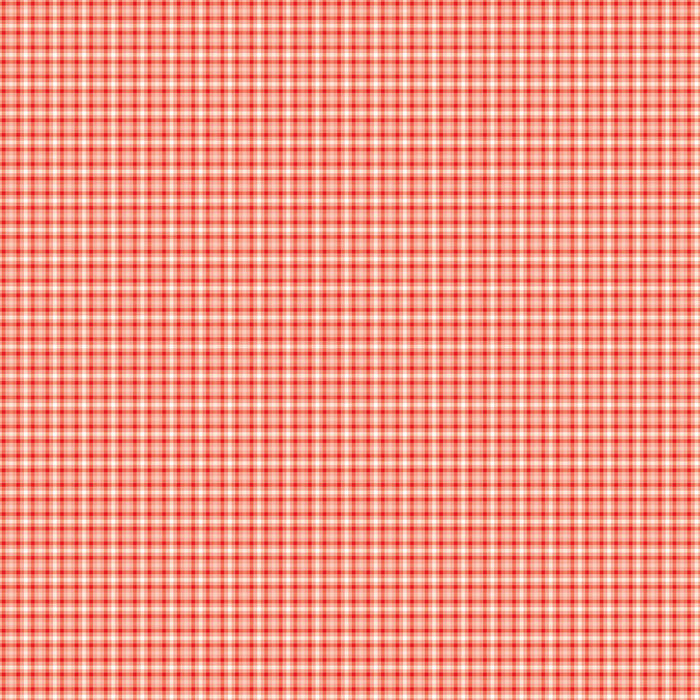 You & Me - Plaid Red