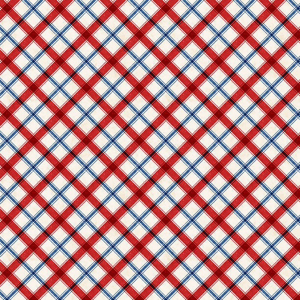 Founding Glory - Plaid Cream 49364-234 | Wilmington Prints