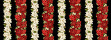 Merry Christmas Metallic - Poinsettia Stripe CM4142 | Timeless Treasures