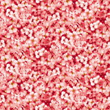 Windflower - Packed Flower Pink - Maywood Studio - Polonia Designs