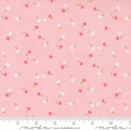 Kindness - Pink Glass | Deb Strain for Moda Fabrics