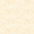 Toscana - Ivory - Northcott - Polonia Designs