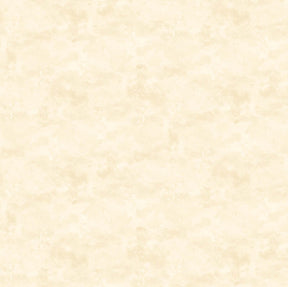 Toscana - Ivory - Northcott - Polonia Designs