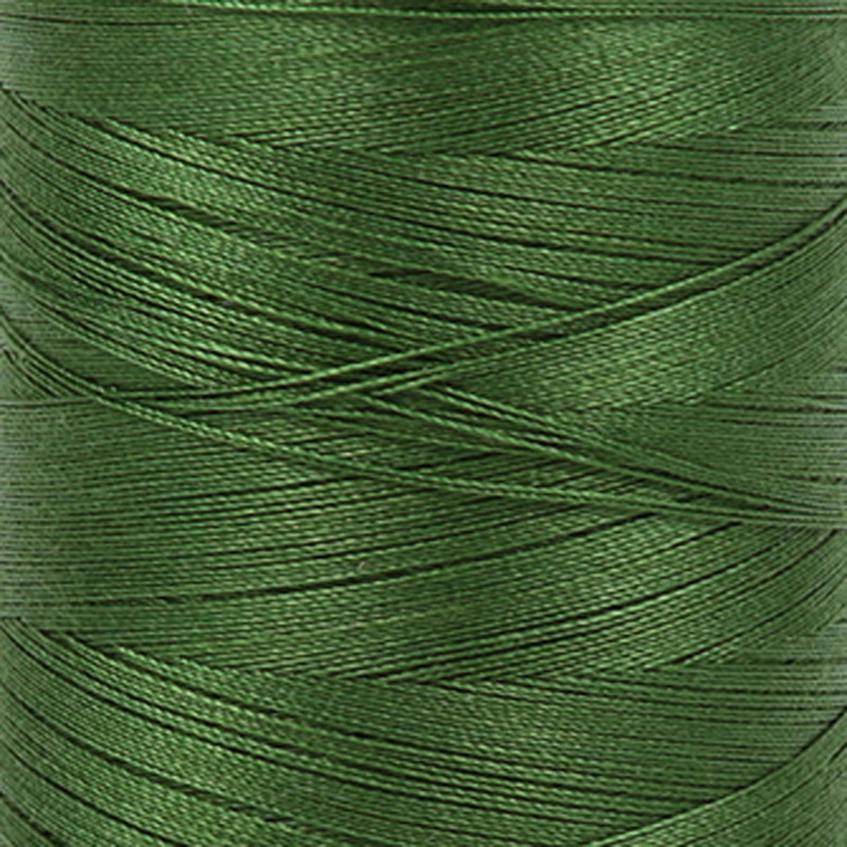 Aurifil Cotton Embroidery Thread 50wt 220yds - Dark Grass Green - Aurifil - Polonia Designs