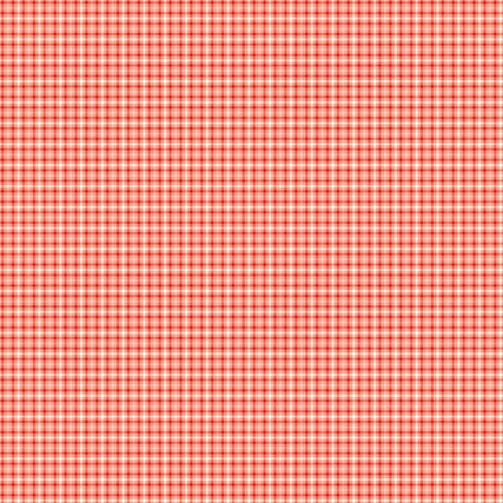 You & Me - Plaid Red - Riley Blake Designs - Polonia Designs