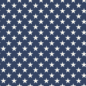 Freedom Garden - Stars Blue - Riley Blake Designs - Polonia Designs