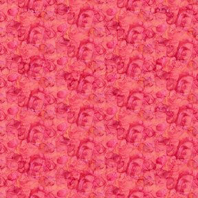 Veranda - Rose Texture - Northcott - Polonia Designs