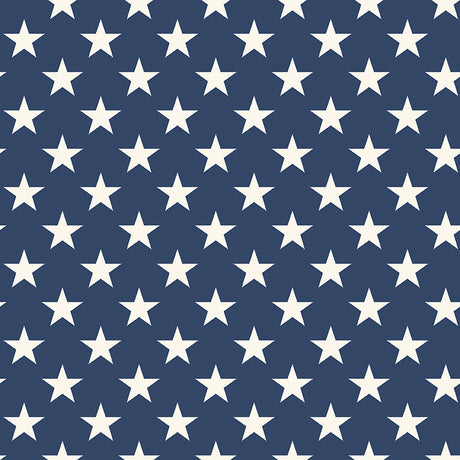 Freedom Garden - Wide Back Stars Blue - Riley Blake Designs - Polonia Designs